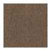 Mohawk Mohawk Basics 24 x 24 Carpet Tile SAMPLE with EnviroStrand PET Fiber in Earth Tone EB300-869